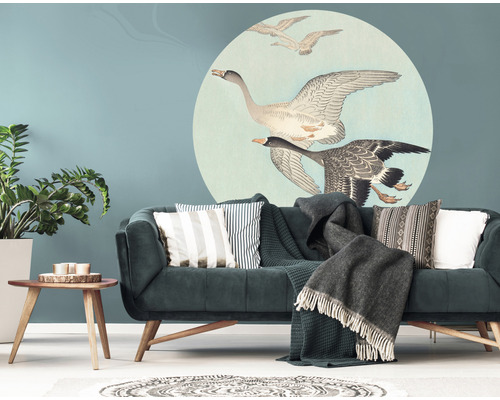 Rumsöversikt med soffa, bord, krukväxt och väggklistermärke med fågelmotiv