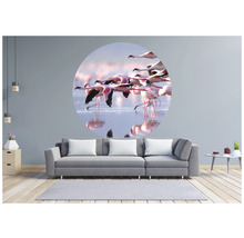 Fototapet SPECIAL DECORATION non-woven Flamingo Ø190cm