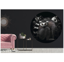 Vardagsrum med rosa soffa, sidobord och en vägg med en stor, rund väggdekal som visar lemurer