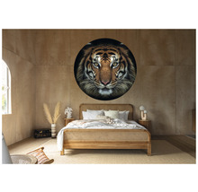 Fototapet SPECIAL DECORATION non-woven Tiger Ø190cm