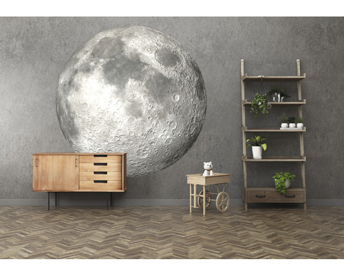 Vardagsrum med byrå, hylla, dekorationsvagn och måntapet