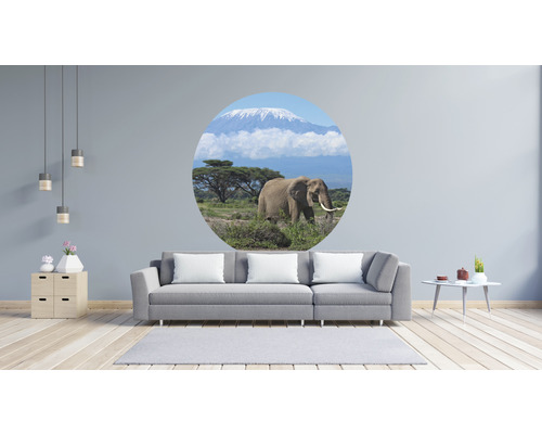 Vardagsrum med soffa och väggdekor med elefantmotiv framför Kilimanjaro