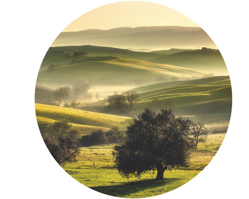 Landskap med kullar, träd och dimma