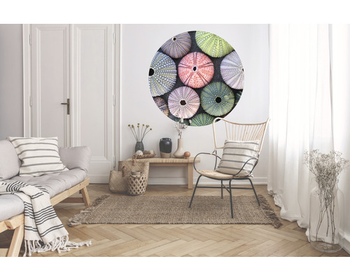 Vardagsrum med soffa, stol, matta och väggdekor med sjöborremotiv