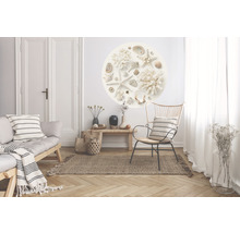 Fototapet SPECIAL DECORATION non-woven Snäckskal Ø190cm