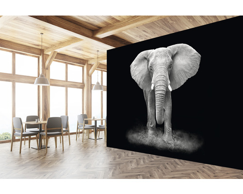 Miljö med en inredning och en fotovägg med en elefant