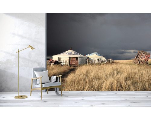 Fototapet som visar jurtor i ett stäpplandskap