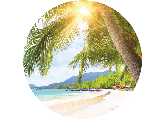 En strand med palmer under en strålande sol.