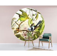 Fototapet SPECIAL DECORATION non-woven Fåglar 2 Ø190cm