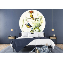 Fototapet SPECIAL DECORATION non-woven Fåglar 1 Ø190cm