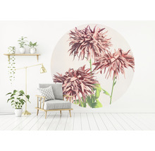 Fototapet SPECIAL DECORATION non-woven Krysantemum Ø190cm