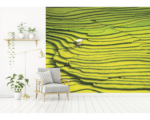 Väggmålning med risfältsterrassmotiv i ett vardagsrum