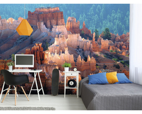 Vardagsrum med fototapet med klippformationer och skog