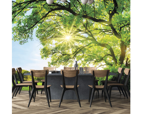 Fototapet med träd och matbord för en ljus och inbjudande atmosfär