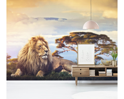 Rum med en fotovägg som visar ett lejon på savannen.