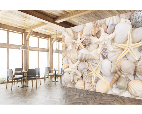 Fototapet med snäckor och sjöstjärnor i en restaurang.