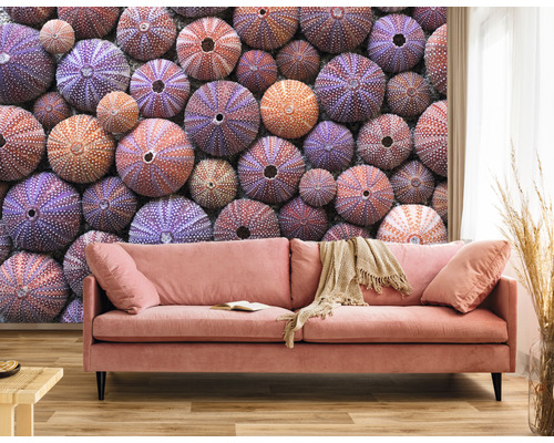 Dekorativ vägg med soffa och sjöborremotiv för en ljus atmosfär.