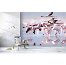 Fototapet SPECIAL DECORATION Flamingo 7 delar 340x254cm
