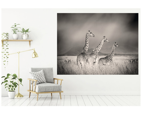 Dekorativ vägg med ett svartvitt foto av tre giraffer på en stäpp, kompletterat med en fåtölj, en golvlampa och krukväxter.