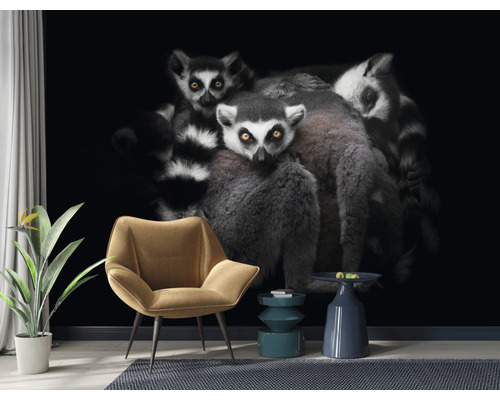 Vardagsrum med fototapet som visar en grupp lemurer