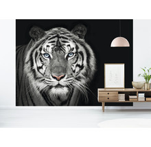 Fototapet SPECIAL DECORATION Tiger svartvit 7 delar 340x254cm