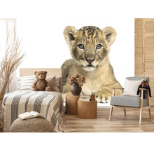 Fototapet SPECIAL DECORATION Lejonunge 7 delar 340x254cm