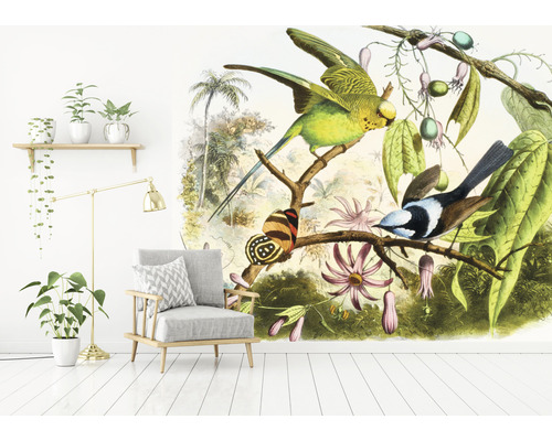 Vardagsrum med fåtölj och fototapet med fågel- och djungelmotiv