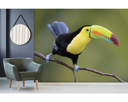 Vardagsrumsmiljö med fåtölj, spegel och en fototapet med en tukan på en gren