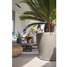 Självvattnande blomkruka LECHUZA Classico Color plast Ø59x56cm sandbrun inkl. substrat