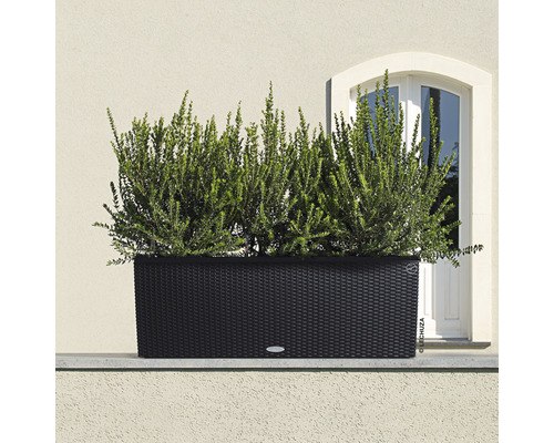 Svart blomlåda med växter framför en husvägg