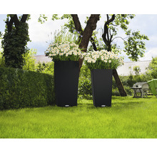 Två blomlådor med blommor i en trädgård.