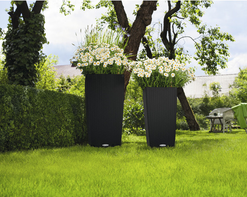 Två blomlådor med blommor i en trädgård.