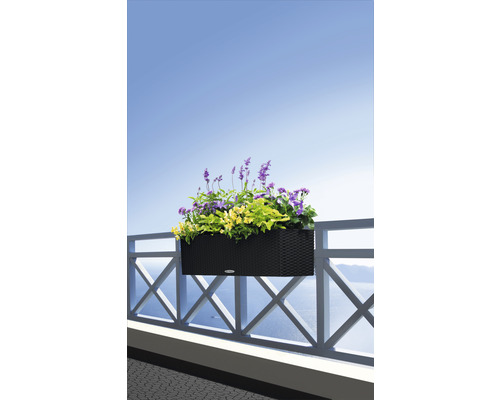 Blomlåda med blommor på ett balkongräcke