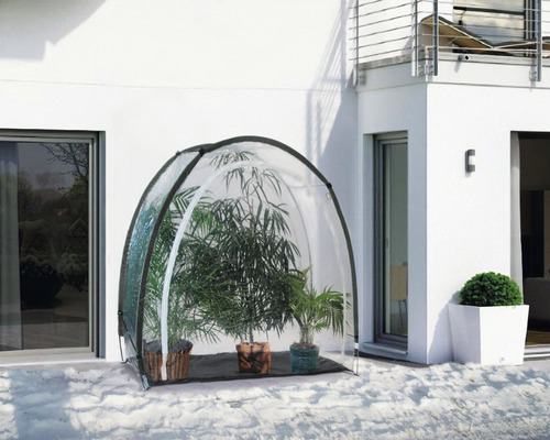 Växthus i trädgården med växter under det transparenta skyddet.