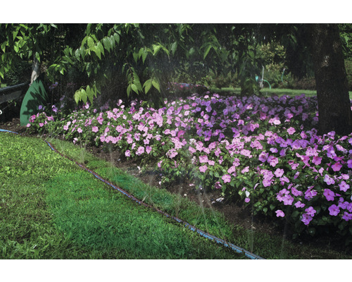 Bevattningssystem i trädgård med blomsterrabatt och gräsmatta