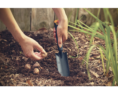 En person planterar blomsterlökar med en planteringsspade i trädgården.
