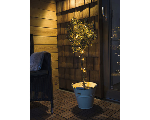 Dekorativt träd med ljusslingor i en hink på en uteplats.