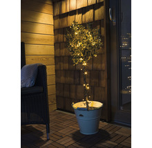 Dekorativt träd med ljusslinga i kruka på en terrass