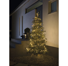 Belyst julgran utomhus framför ett hus.