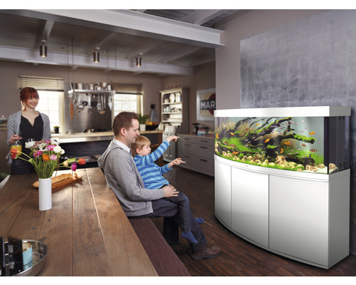 Familj tittar på akvarium med fiskar och vattenväxter i ett ljust vardagsrum.