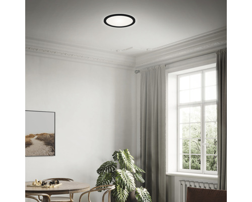 Vardagsrum med matbord, krukväxt, fönster och rund taklampa