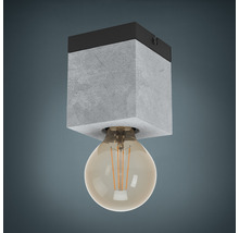 Taklampa med betongskärm och glödlampa