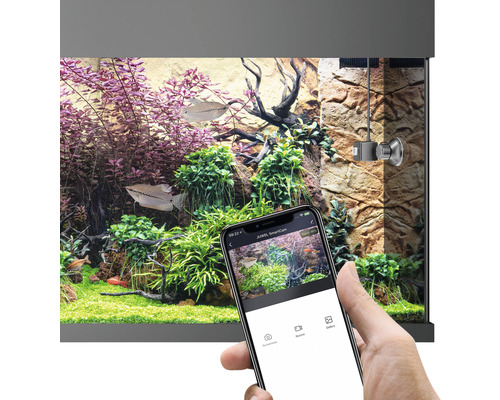 Akvarium med växter, fiskar, JUWEL SmartCam och smartphone