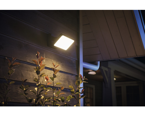 Utomhusvägglampa på en husvägg med växter i förgrunden