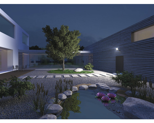 Upplyst trädgård med damm, stenar, växter och modernt hus