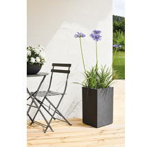 Arrangemang med ett bord, en stol och en rektangulär blomlåda på en träaltan.