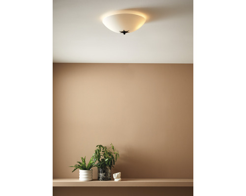 Taklampa i glas med stjärnapplikation i interiör