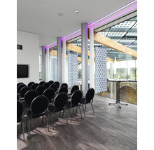 Ljust konferensrum med stolar, stort fönster och trägolv