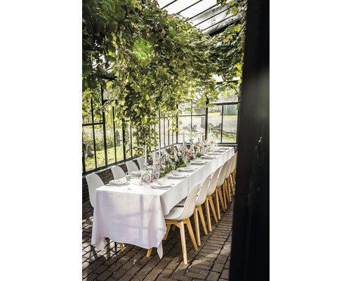 Bordsdekoration i ett växthus med växter, porslin, ljus och stolar