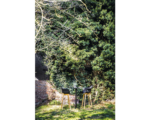 Trädgårdsscen med bistrobord och två barstolar framför en bevuxen vägg